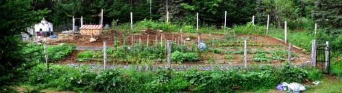 tp garden mergededitcrop